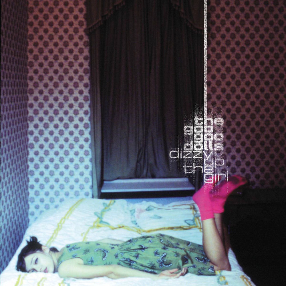 Iris album art