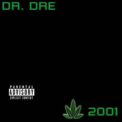 Smoke Weed Everyday album art