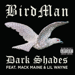 Dark Shades album art