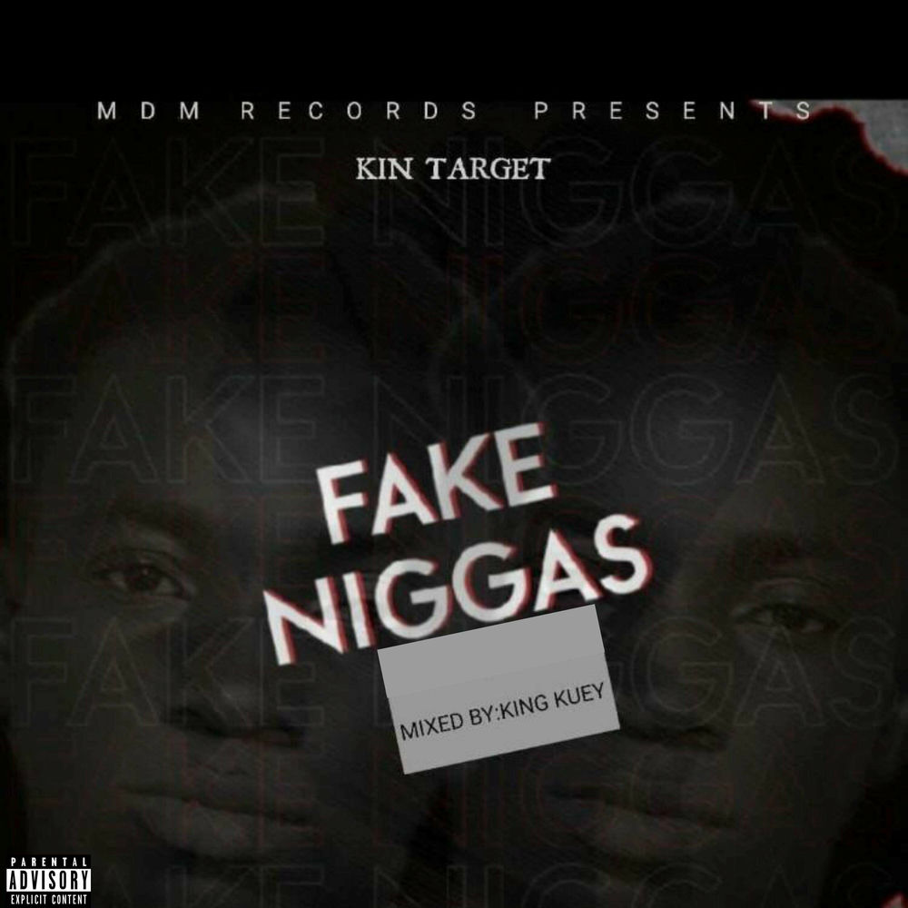 Fake Niggas album art
