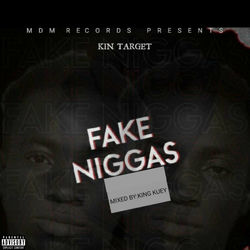 Fake Niggas album art