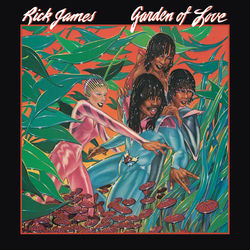 Rick James album art