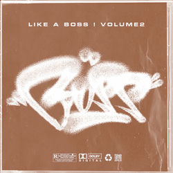 Down For The Count album art