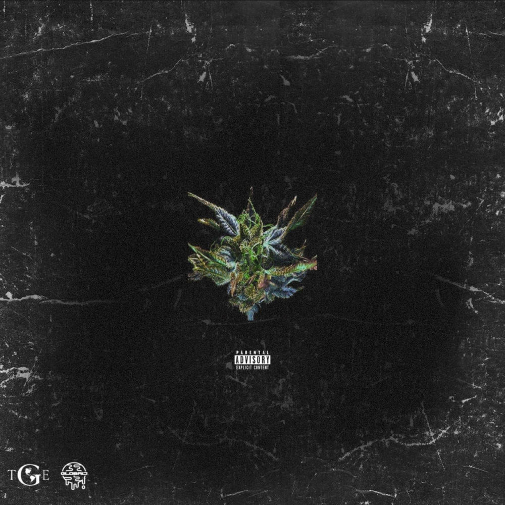 Follow the Leader album art