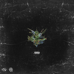 Follow the Leader album art