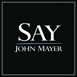Say album art