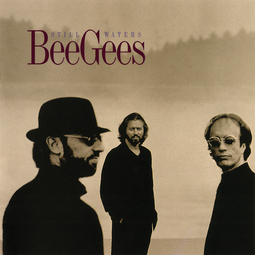 Still Waters Run Deep (DVD) album art