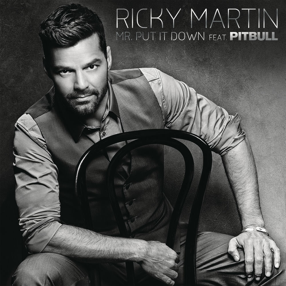 Mr. Put It Down album art