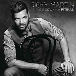 Mr. Put It Down album art