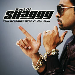 Shaggy album art