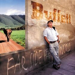 Far Side of the World album art