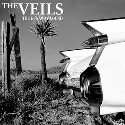 The Wild Son album art
