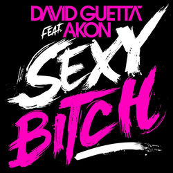 Sexy Bitch Remix album art