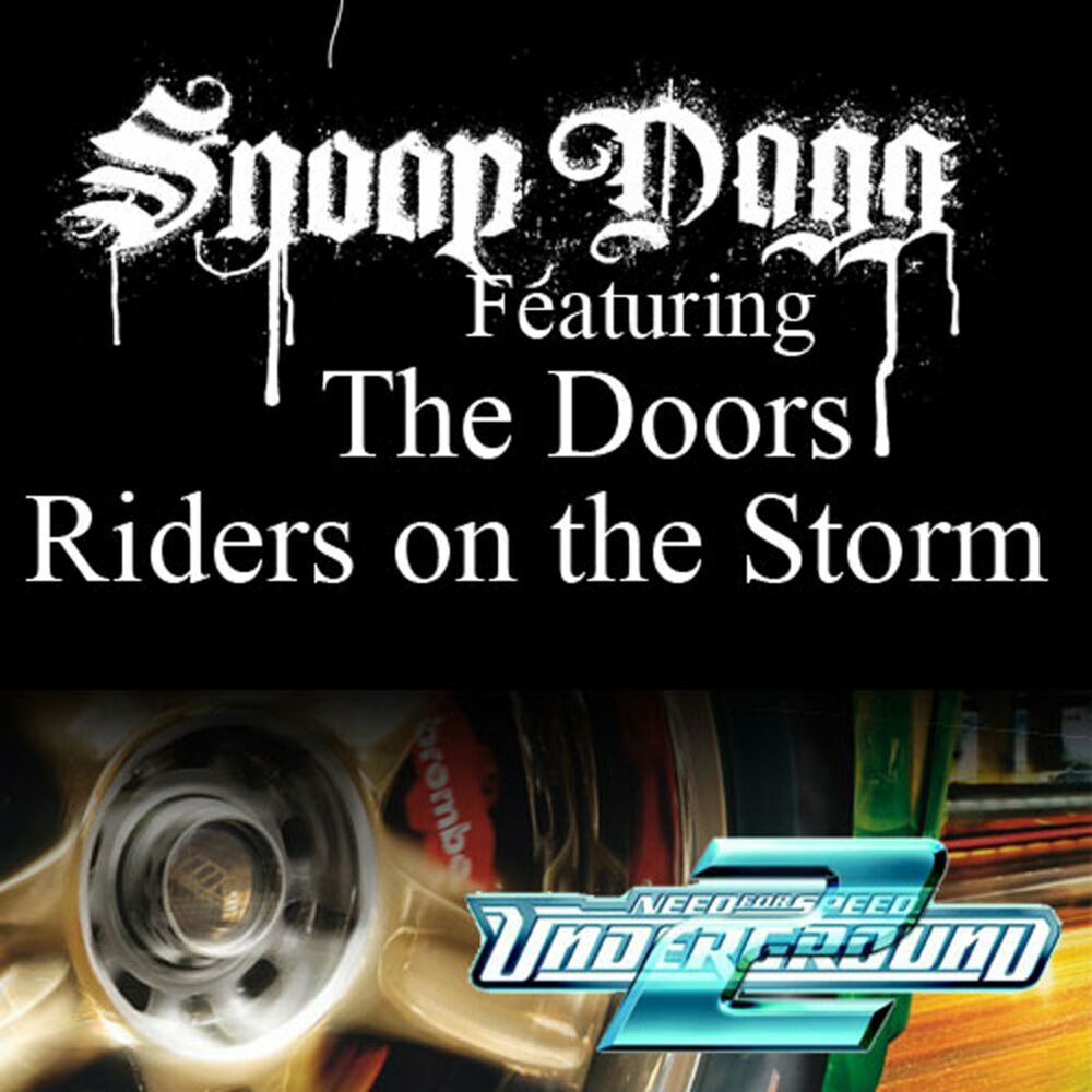 Riders On The Storm (Fredwreck Remix) album art