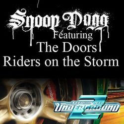 Riders On The Storm (Fredwreck Remix) album art