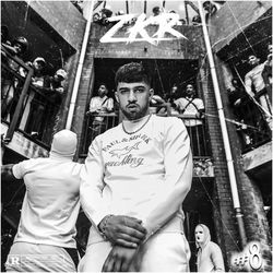 Freestyle album art