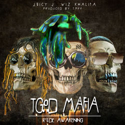 Luxury album art