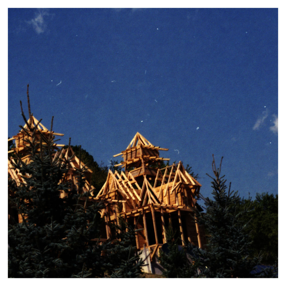 The Lion album art