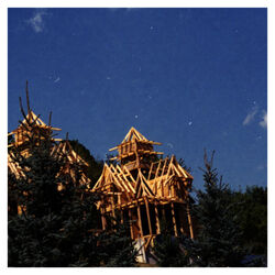 The Lion album art
