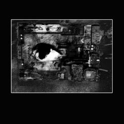 Resurrection album art