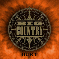 Hurt album art