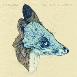 Danger In The Snow! album art