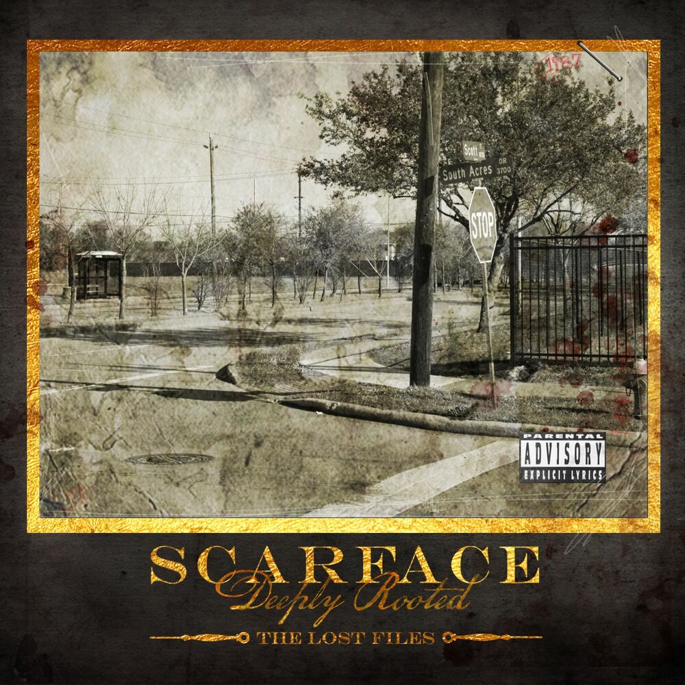 Rooted album art