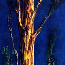 Tamlin album art
