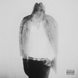 Wolf album art