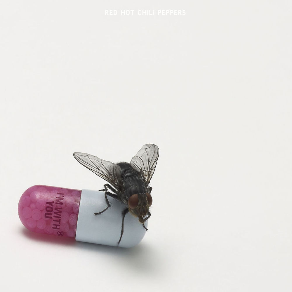 Hard To Concentrate album art