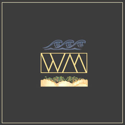 Tidal Wave album art