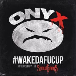 WAKEDAFUCUP album art