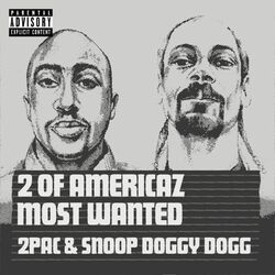 2 Of America's Most Wanted album art