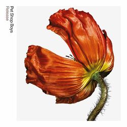 Searching For The Face Of Jesus album art