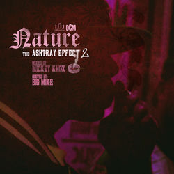 Too Hot album art