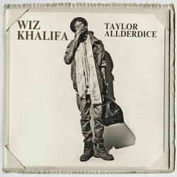 The Cool album art