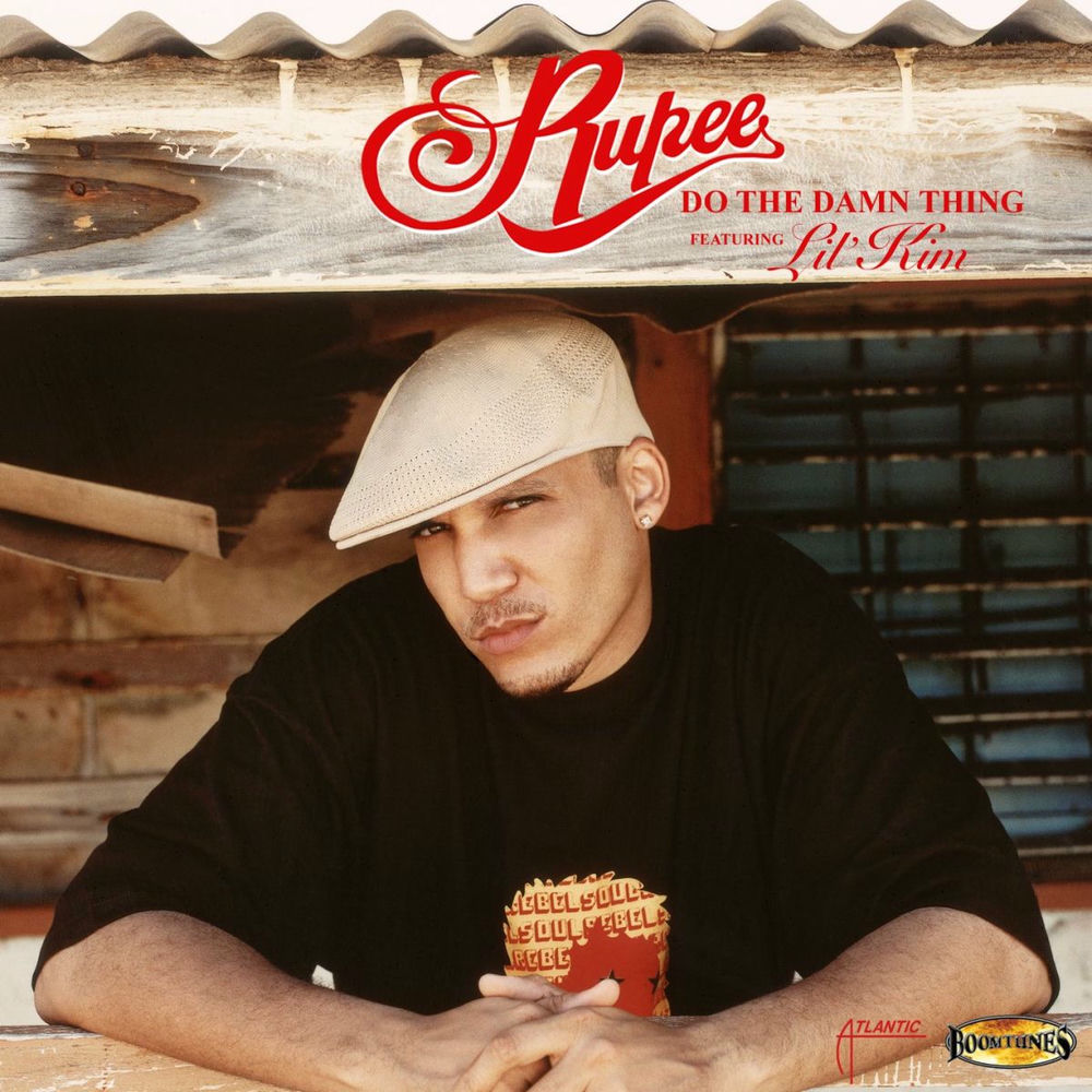 Do the Damn Thing album art