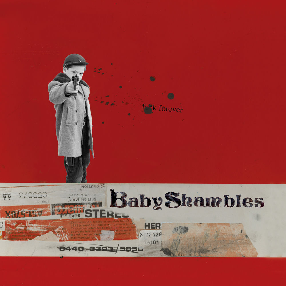 Babyshambles album art