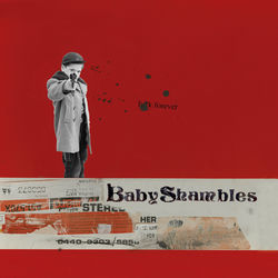 Babyshambles album art