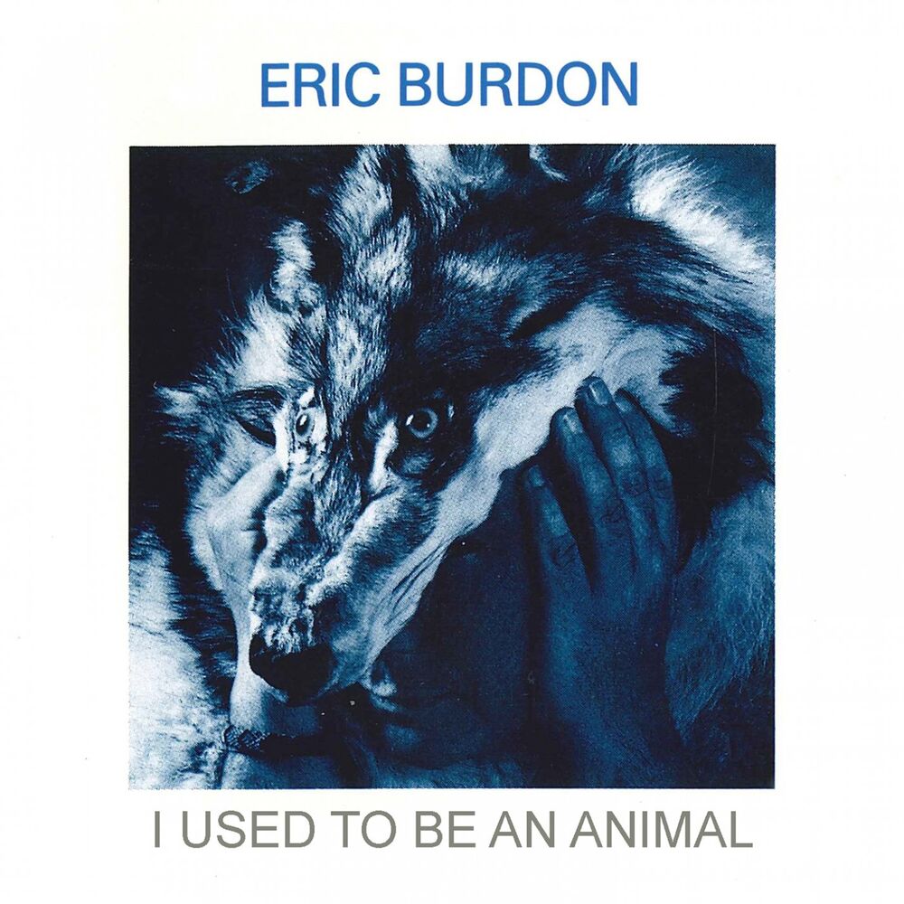 I Used to Be an Animal album art