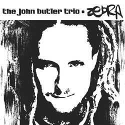 Zebra album art
