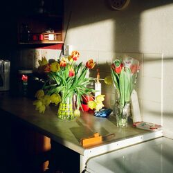 Reasons album art