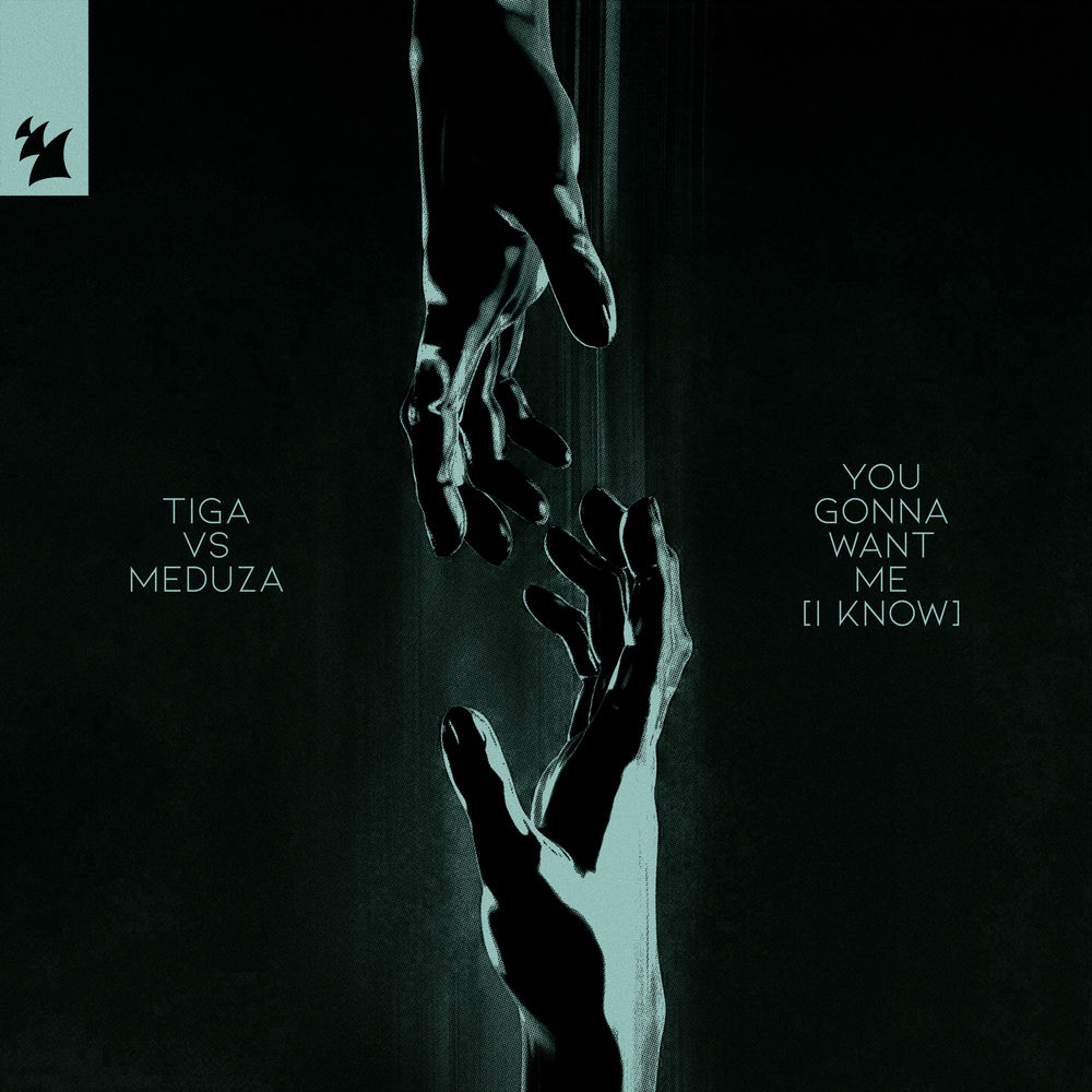 You Gonna Want Me album art