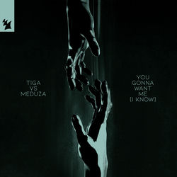 You Gonna Want Me album art