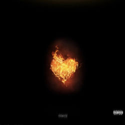 Should Have (Now I Know) album art