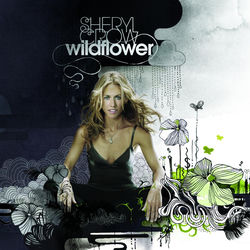 Wildflower album art
