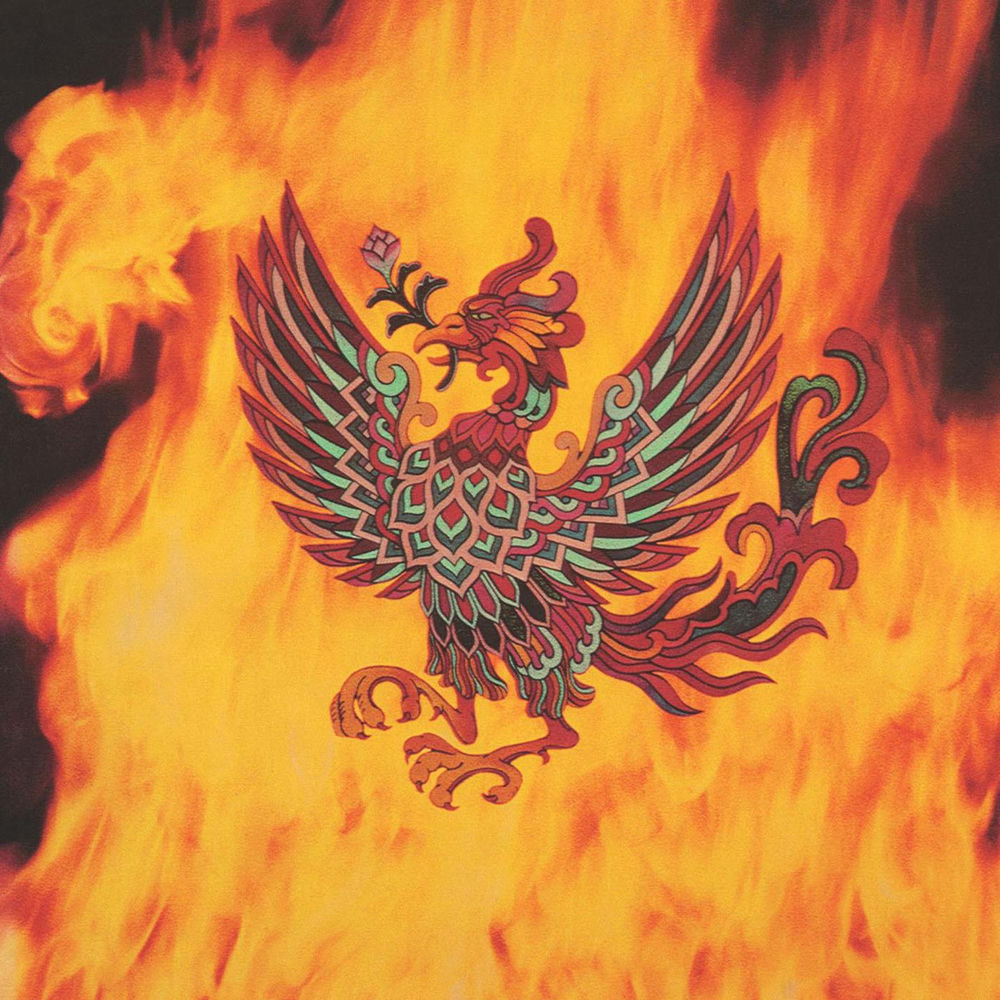 Freedom Is For Children album art