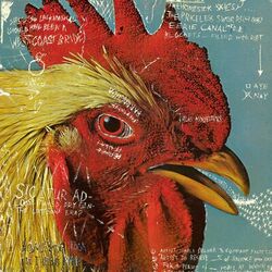 Frontwards album art