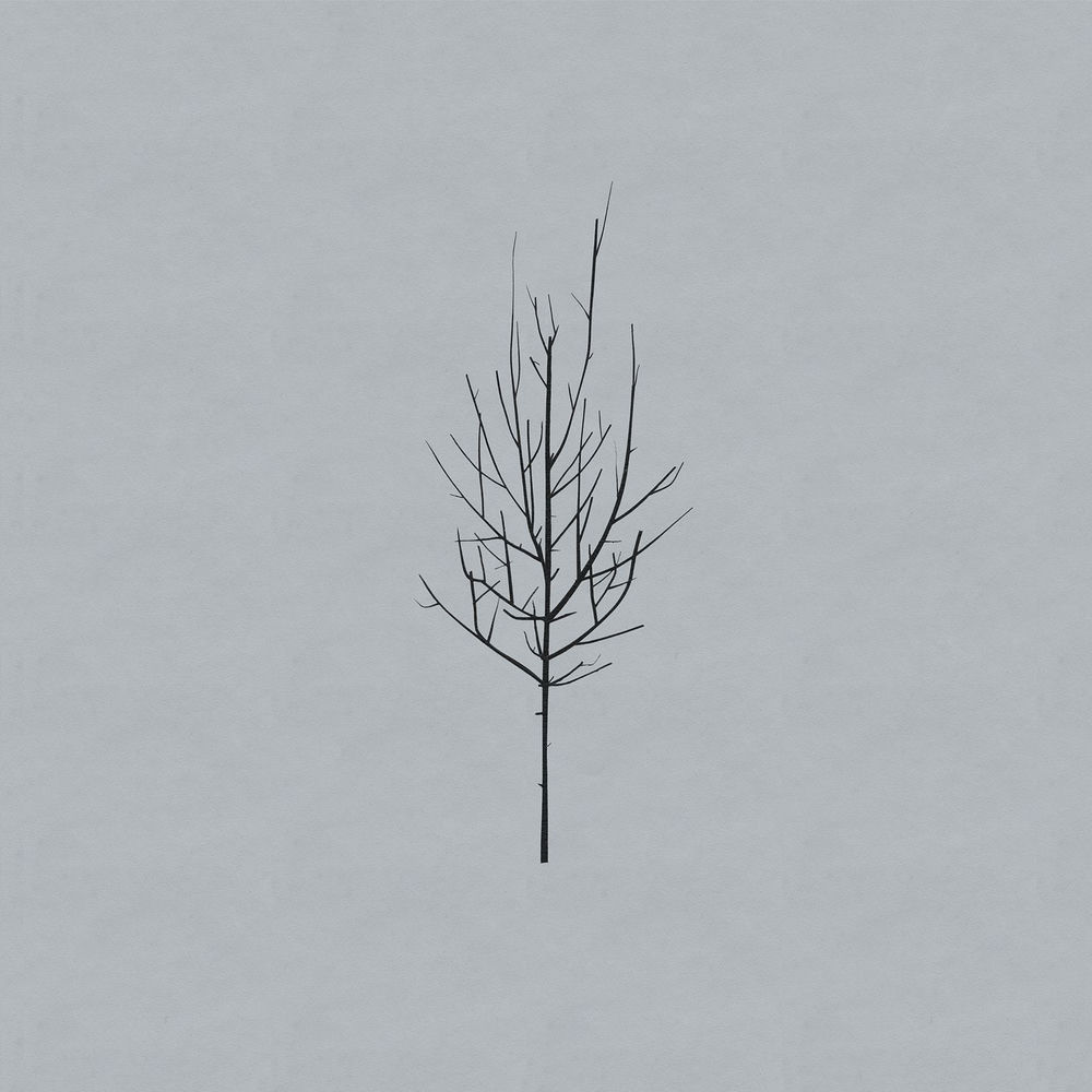 No End album art