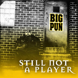 Still Not A Player album art